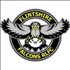 Flintshire Falcons